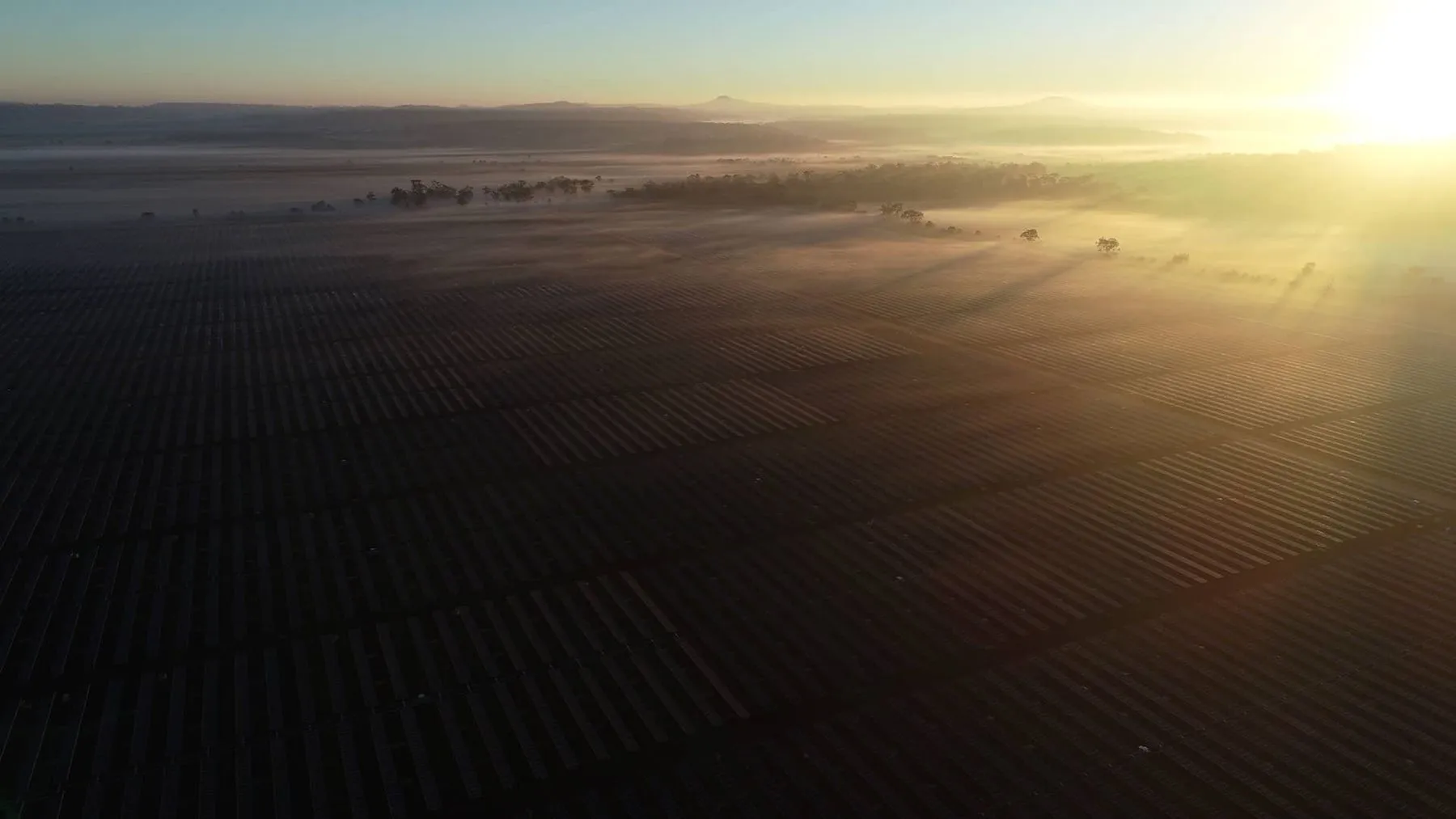 Rows of solar modules at Yarranlea Solar Farm under a clear Queensland sky